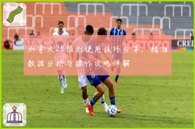 加拿大28预测使用技巧分享:精准数据分析与操作攻略详解