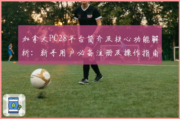加拿大PC28平台简介及核心功能解析:新手用户必备注册及操作指南