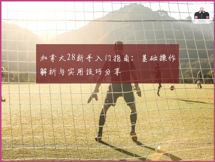 加拿大28新手入门指南：基础操作解析与实用技巧分享