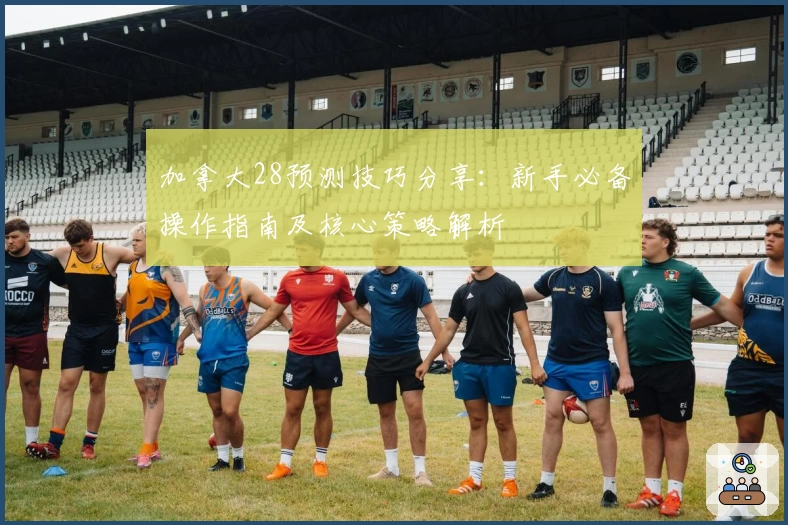 加拿大28预测技巧分享：新手必备操作指南及核心策略解析
