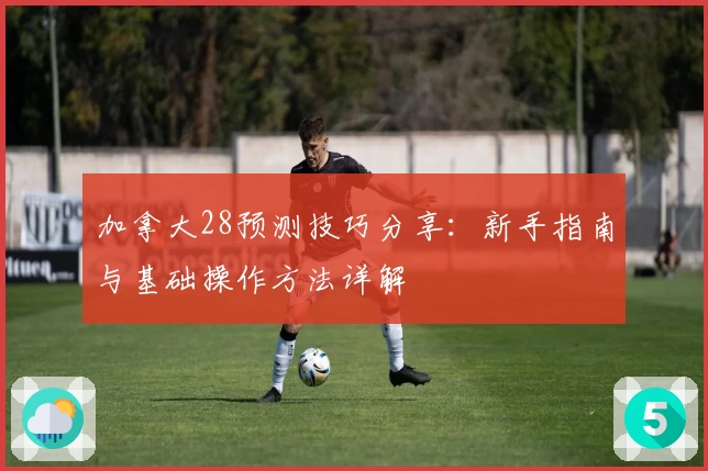 加拿大28预测技巧分享：新手指南与基础操作方法详解
