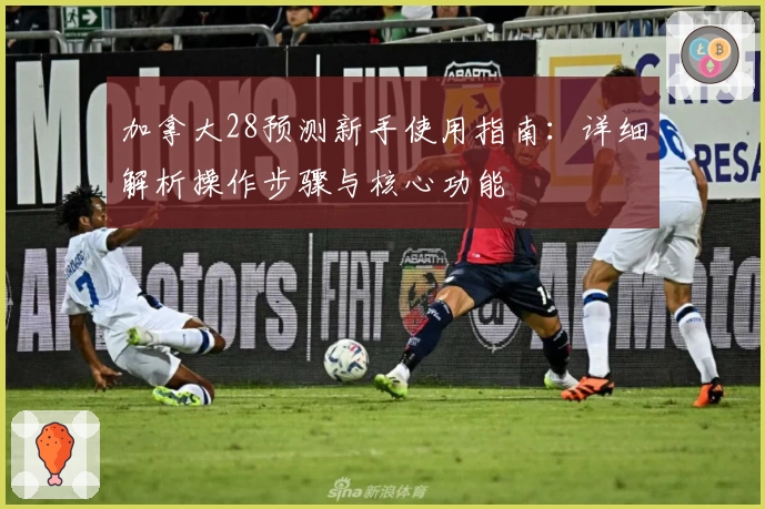 加拿大28预测新手使用指南：详细解析操作步骤与核心功能