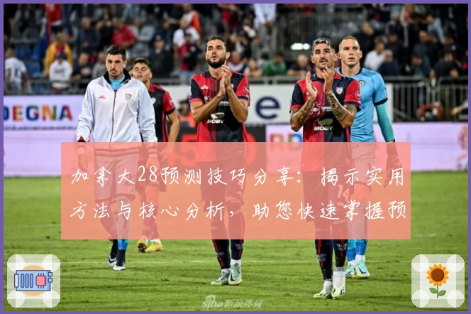 加拿大28预测技巧分享：揭示实用方法与核心分析，助您快速掌握预测规律