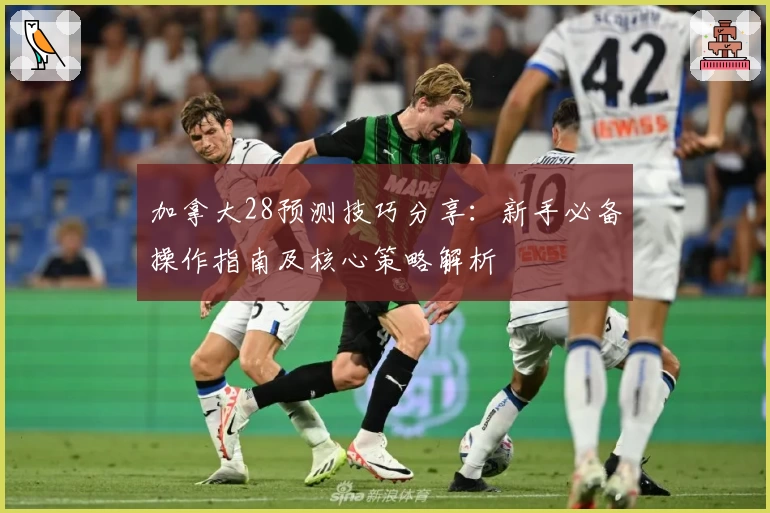 加拿大28预测技巧分享:新手必备操作指南及核心策略解析