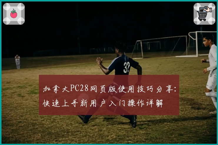 加拿大PC28网页版使用技巧分享：快速上手新用户入门操作详解