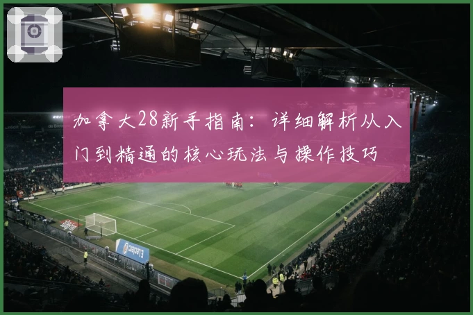 加拿大28新手指南：详细解析从入门到精通的核心玩法与操作技巧