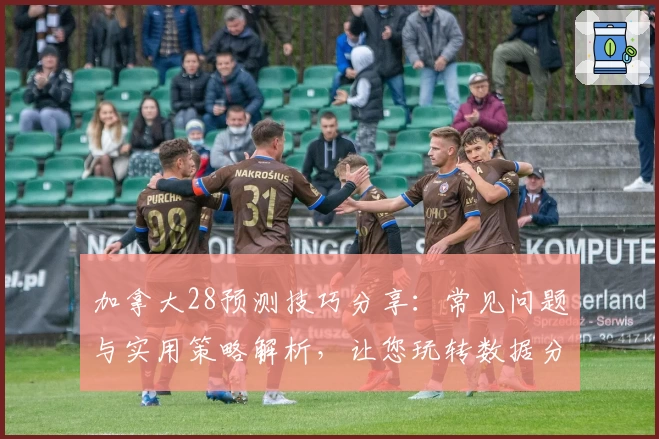 加拿大28预测技巧分享：常见问题与实用策略解析，让您玩转数据分析