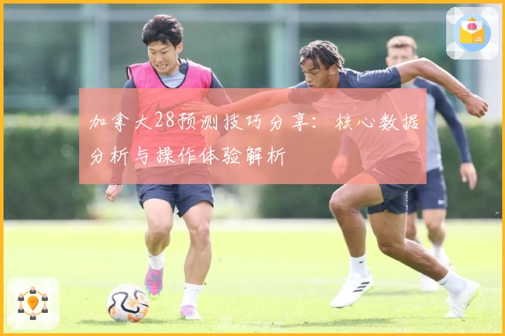 加拿大28预测技巧分享：核心数据分析与操作体验解析