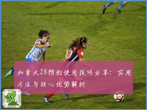 加拿大28预测使用技巧分享：实用方法与核心优势解析